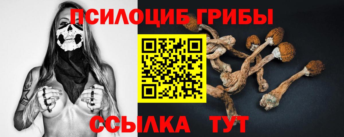 Псилоцибиновые грибы мухоморы Надым